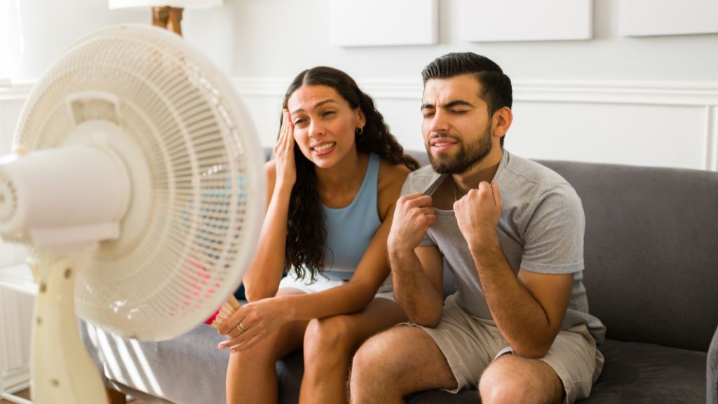 Cómo paliar el calor de este verano